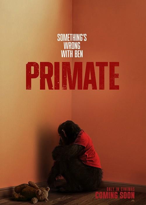 Primate